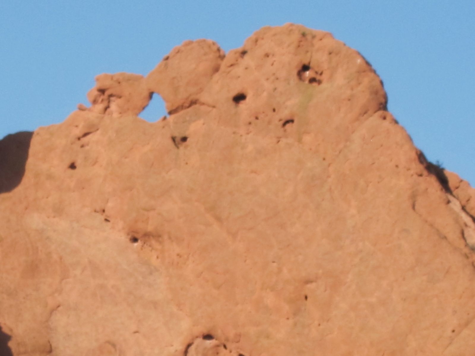 And a closer look of it, with an anthromorphic melted cookie to its right.
